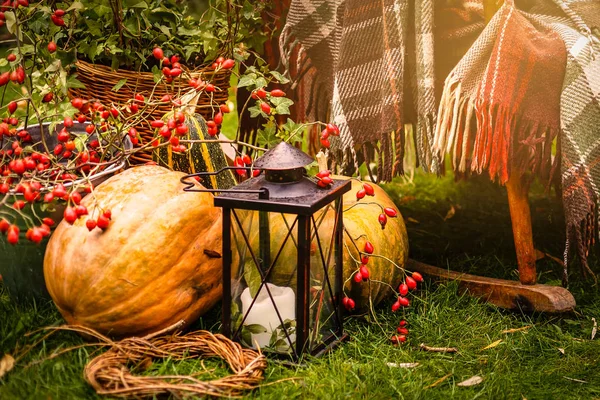 Calabazas Otoño Tiradas Suelo Parque —  Fotos de Stock