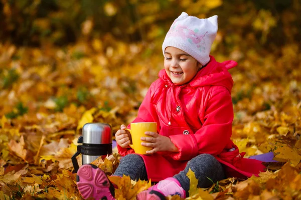 Усміхнена Дівчина Чай Термоса Осінньому Парку — стокове фото