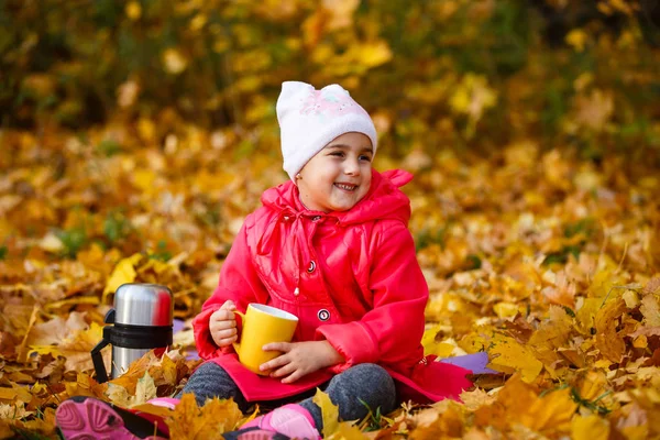 Усміхнена Дівчина Чай Термоса Осінньому Парку — стокове фото