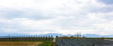 Pastoral yaz manzarası ile dağ gölü Alpleri'nde temizleyin 