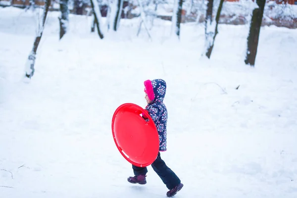 Klein Meisje Het Hebben Van Plezier Besneeuwde Winter Park — Stockfoto