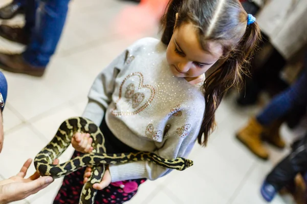Jovem Menina Segurando Pequena Bola Python Zoológico — Fotografia de Stock