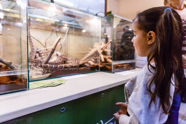 girl looking at snake at zoo