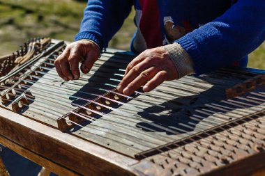 İnsan geleneksel bir müzik aleti çalar. 