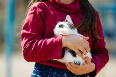 evsiz kedi yavrusu tutan genç kızın portresi 