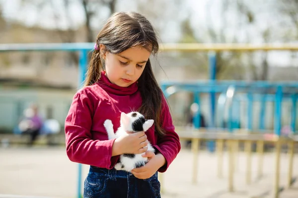 Retrato Menina Segurando Sem Teto Gatinho — Fotografia de Stock