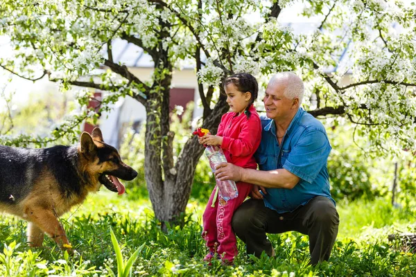 Grandfather with granddaughter and dog resting in spring garden