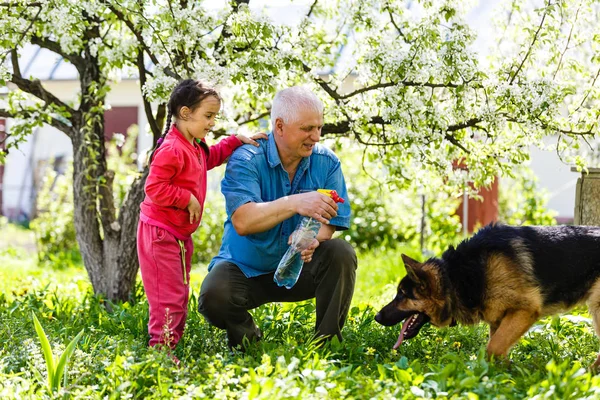 Дід Онукою Собакою Відпочиває Весняному Саду — стокове фото