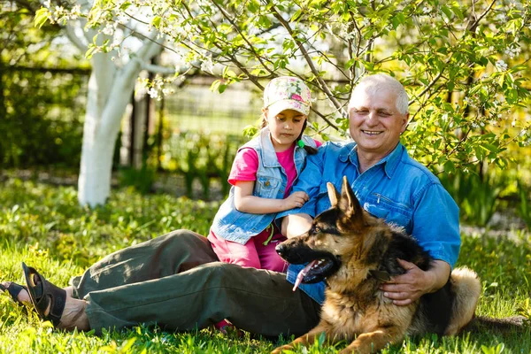 Grandfather with granddaughter and dog resting in spring garden