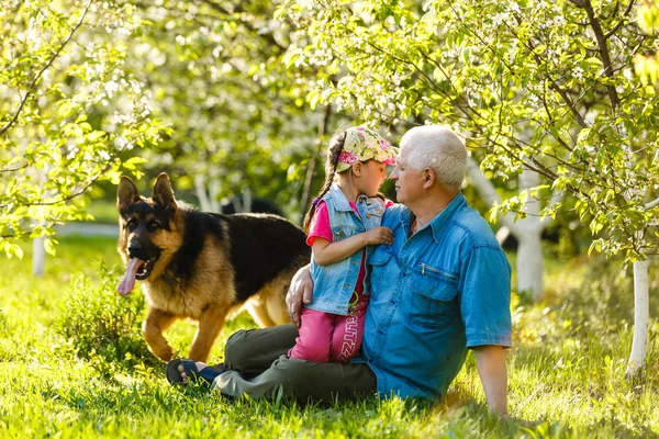 Abuelo Con Nieta Perro Descansando Jardín Primavera — Foto de Stock