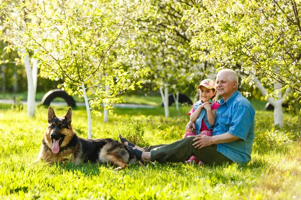 Abuelo Con Nieta Perro Descansando Jardín Primavera — Foto de Stock