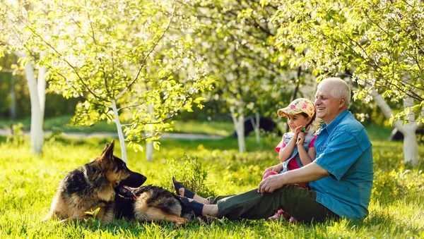 Grandfather with granddaughter and dog resting in spring garden