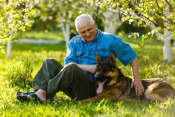 Senior Sitzt Mit Schäferhund Park — Stockfoto