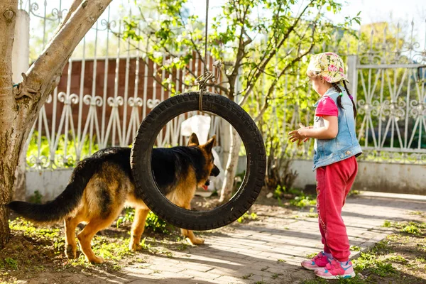 Χαμογελαστή Κορίτσι Παίζοντας Γερμανικό Ποιμενικό Σκυλί Στην Αυλή — Φωτογραφία Αρχείου