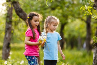 Dandelions alanıyla üzerinde yürüyen iki mutlu küçük kız