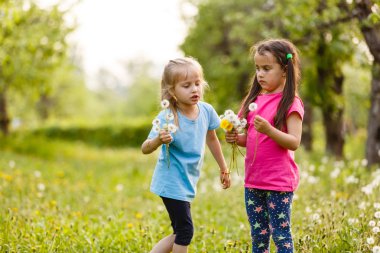 Dandelions alanıyla üzerinde yürüyen iki mutlu küçük kız