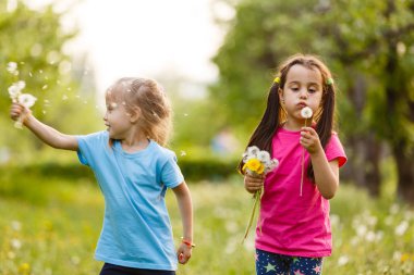 Dandelions alanıyla üzerinde yürüyen iki mutlu küçük kız