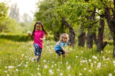 Dandelions alanıyla üzerinde yürüyen iki mutlu küçük kız