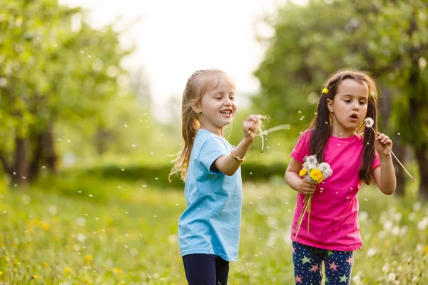 Zwei Glückliche Kleine Schwestern Auf Einem Feld Mit Löwenzahn — Stockfoto