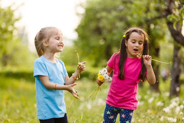 Zwei Glückliche Kleine Schwestern Auf Einem Feld Mit Löwenzahn — Stockfoto