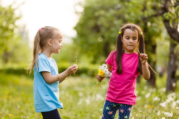 Dua Saudari Kecil Yang Bahagia Berjalan Lapangan Dengan Dandelion — Stok Foto