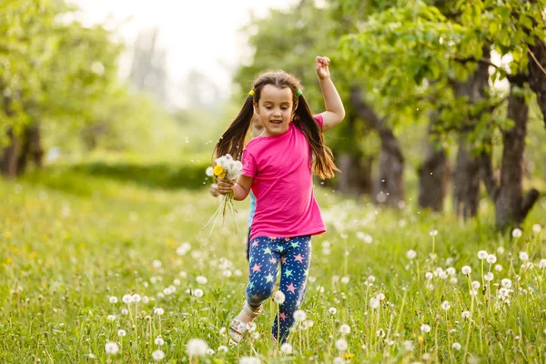 快乐的小女孩跑在球场上与蒲公英 — 图库照片