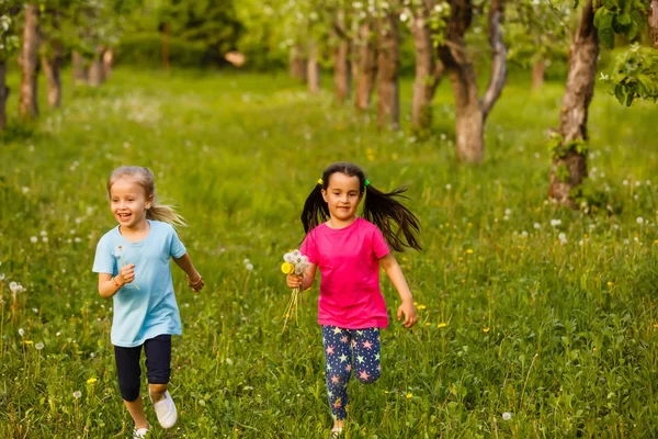 Zwei Glückliche Kleine Schwestern Auf Einem Feld Mit Löwenzahn — Stockfoto