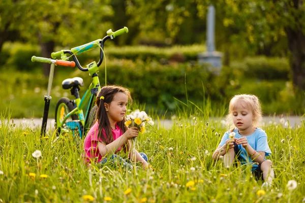 Zwei Mädchen Spielen Mit Blumen Park — Stockfoto