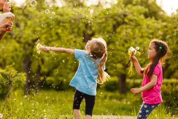 Zwei Mädchen Spielen Grünen Park Und Pusten Schwimmende Seifenblasen — Stockfoto