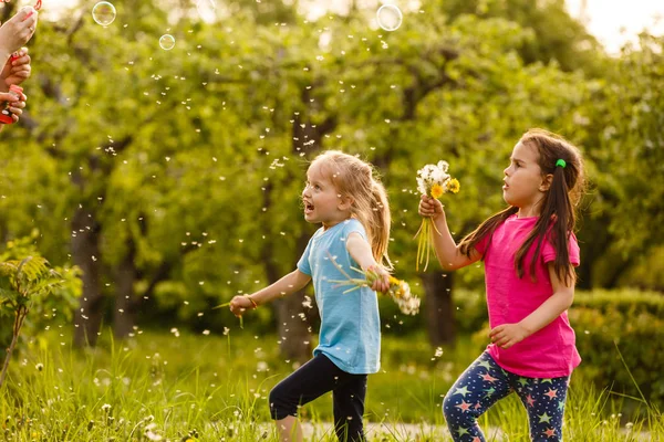 Дві Дівчини Грають Зеленому Парку Дме Плавучі Мильні Бульбашки — стокове фото