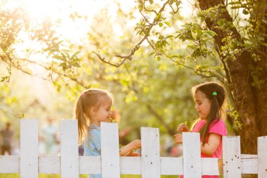 Küçük yaramaz kızlar beyaz arkasında kırsal kesimde çit 