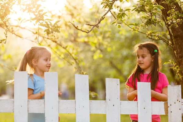 Petites Filles Espiègles Derrière Une Clôture Blanche Dans Campagne — Photo