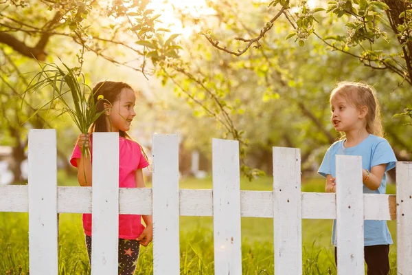 Petites Filles Espiègles Derrière Une Clôture Blanche Dans Campagne — Photo