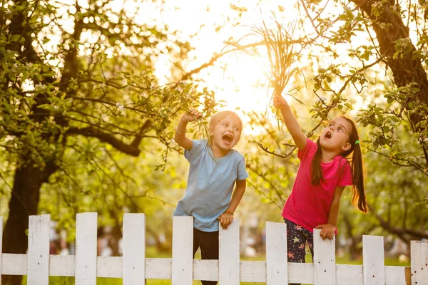 Kleine Verschmitzte Mädchen Hinter Weißem Zaun Auf Dem Land — Stockfoto