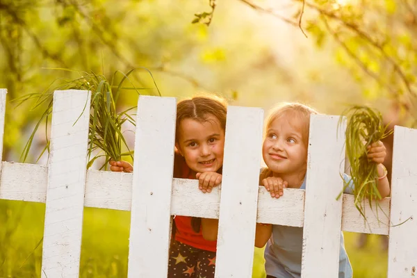 Ondeugende Meisjes Achter Wit Hek Platteland — Stockfoto