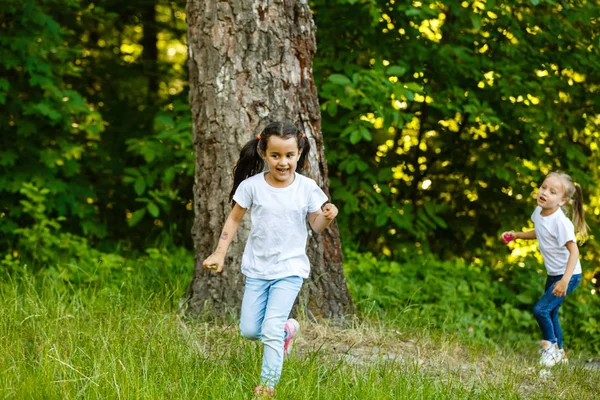 Glückliche Kinder Laufen Grünen Sommerpark — Stockfoto