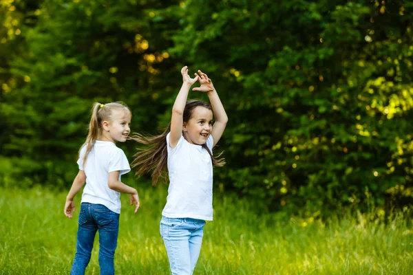 Gelukkige Kinderen Die Het Groene Zomerpark Rennen — Stockfoto