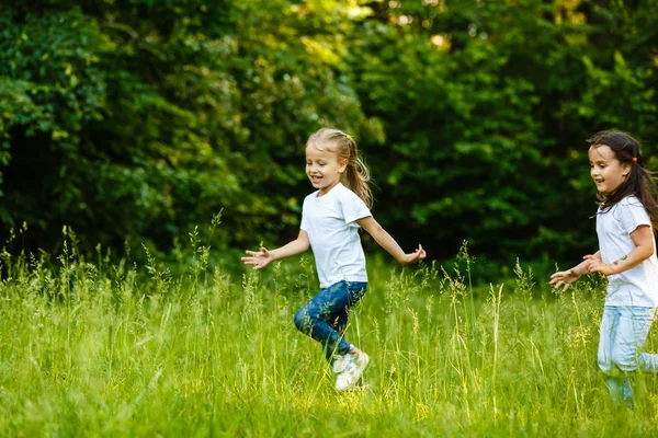 Gelukkige Kinderen Die Het Groene Zomerpark Rennen — Stockfoto