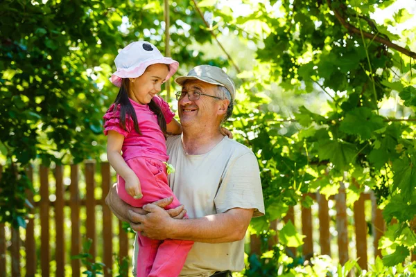 Menina Feliz Abraçando Avô Jardim Ensolarado — Fotografia de Stock