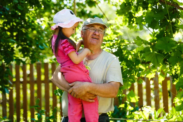 Menina Feliz Abraçando Avô Jardim Ensolarado — Fotografia de Stock