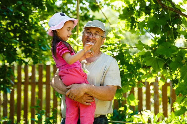Chica Feliz Abrazando Abuelo Jardín Soleado — Foto de Stock