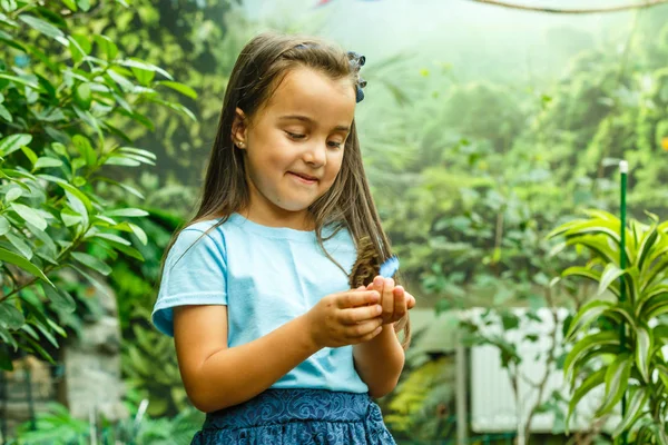 Fechar Vista Menina Segurando Borboleta Mão — Fotografia de Stock