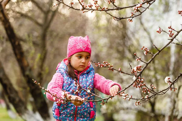 Fetiță Care Pozează Grădina Primăvară Cireșe Timpurie — Fotografie, imagine de stoc