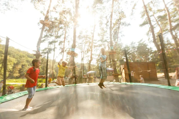 Crianças Pequenas Felizes Pulando Trampolim Parque Extremo — Fotografia de Stock