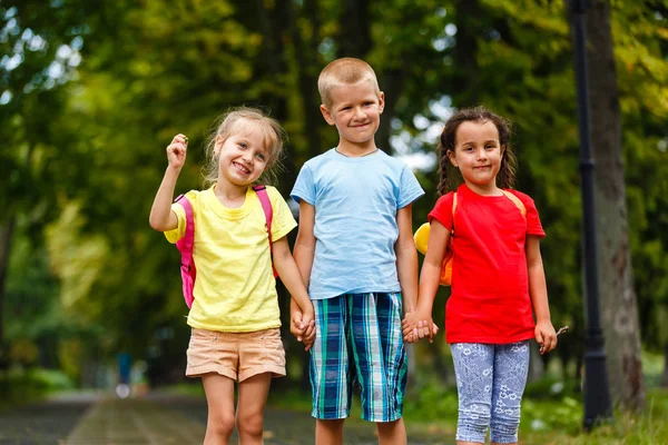 Portret Van Vrolijke Kinderen Wandelen Green Park — Stockfoto