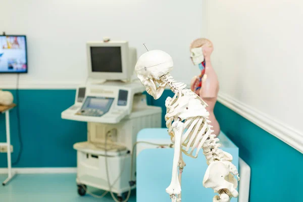 医院里的人体骨骼 — 图库照片