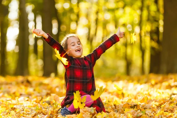 Schöne Kleine Mädchen Mit Herbstblättern Freien — Stockfoto