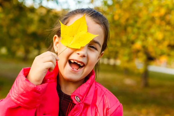 Nettes Kleines Mädchen Herbstlichen Wald — Stockfoto