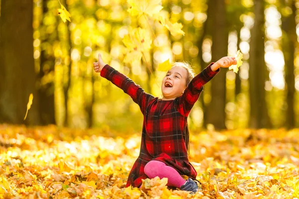 Дуже Весела Дитина Розважається Кидаючи Жовте Листя — стокове фото