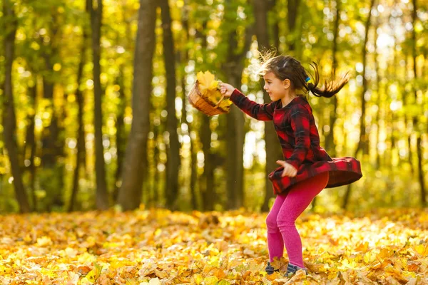 Весёлый Ребёнок Веселится Подбрасывая Жёлтые Листья — стоковое фото